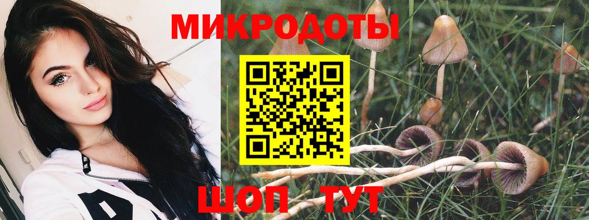 Псилоцибиновые грибы прущие грибы  Псилоцибиновые грибы GOLDEN TEACHER  Анапа  Вход с VPN 